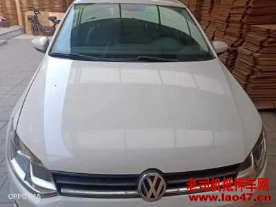 19POLO