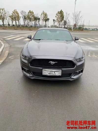 23긣ҰMustang