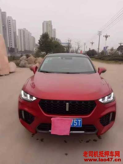 24곤WEY VV5