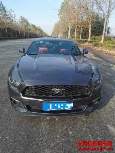 23긣ҰMustang