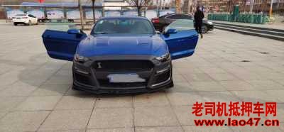 23긣ҰMustang