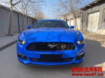 20긣ҰMustang