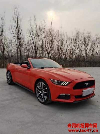 21긣ҰMustang