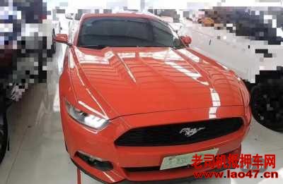 21긣ҰMustang