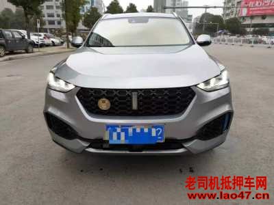 24곤WEY VV6
