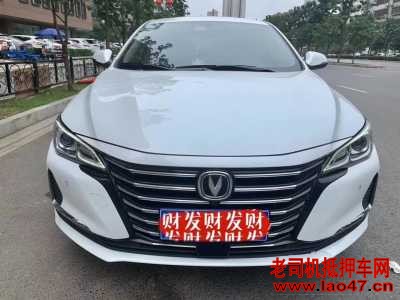 24곤CC