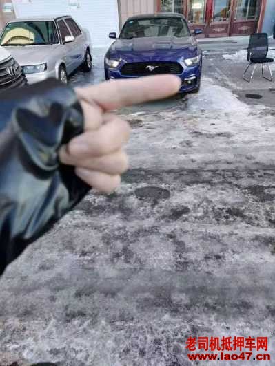 22긣ҰMustang