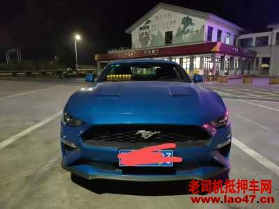 ϲ23긣ҰMustang