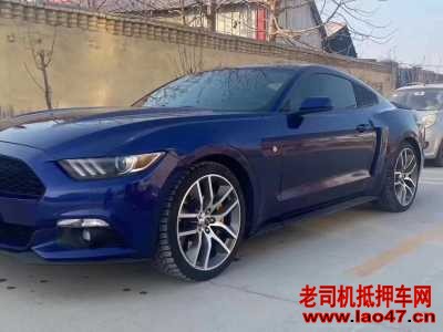 20긣ҰMustang