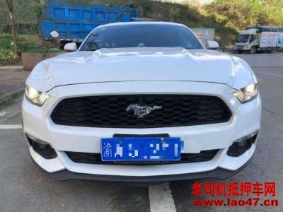 21긣ҰMustang