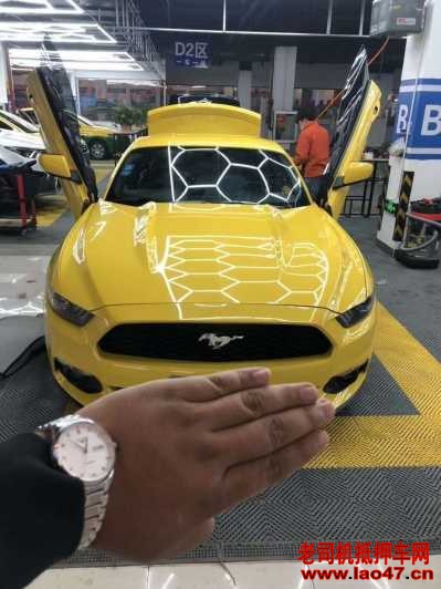 23긣ҰMustang