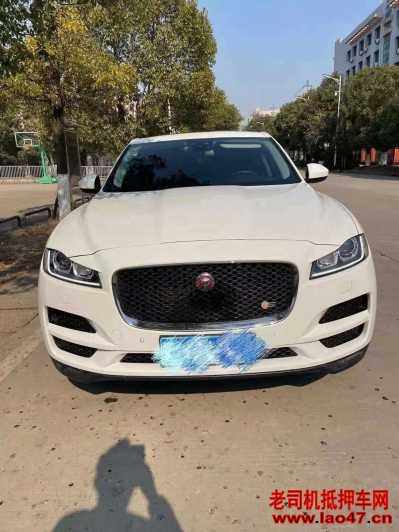 23ݱF-PACE