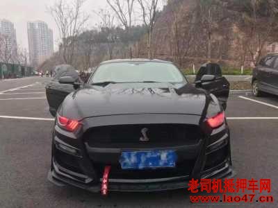 21긣ҰMustang