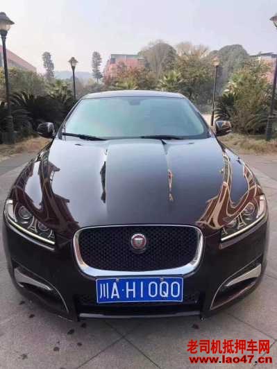 19ݱXF