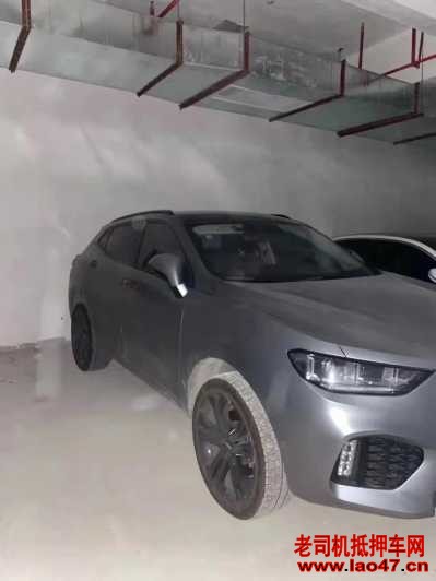24곤WEY VV5