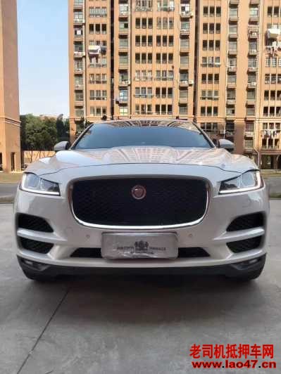 ˴24ݱF-PACE