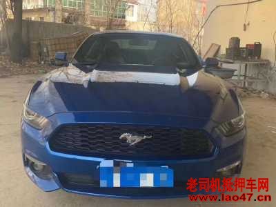 22긣ҰMustang