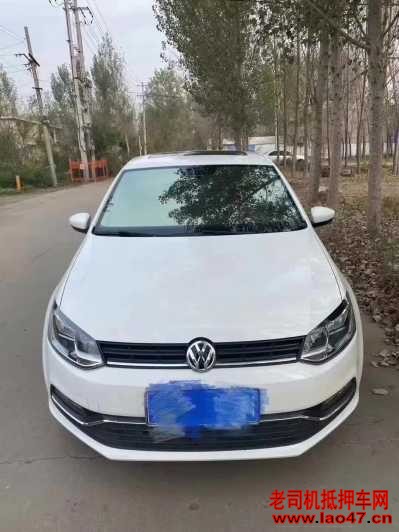 24POLO