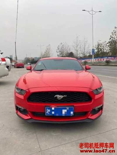 22긣ҰMustang