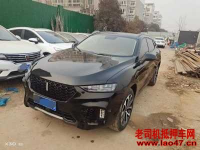 Ͳ22곤WEY VV7
