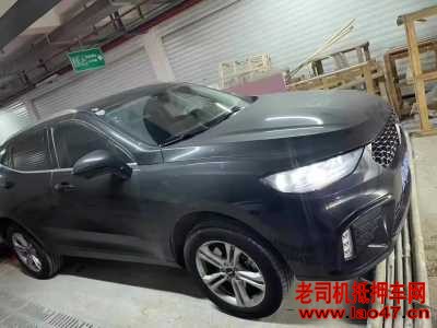 24곤WEY VV5
