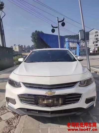 22ѩXL