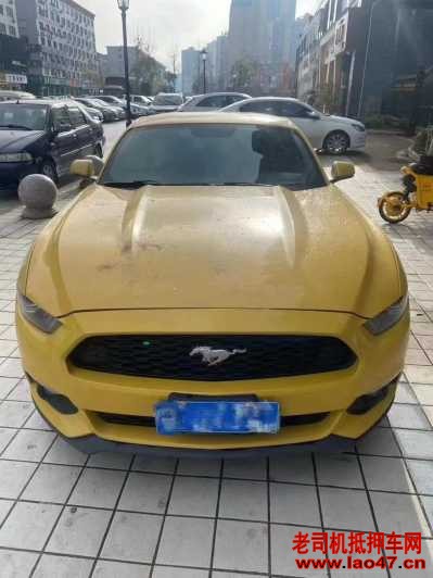 21긣ҰMustang