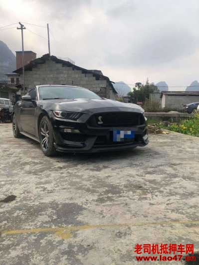 22긣ҰMustang