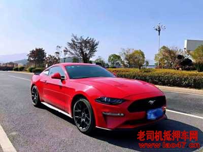 23긣ҰMustang