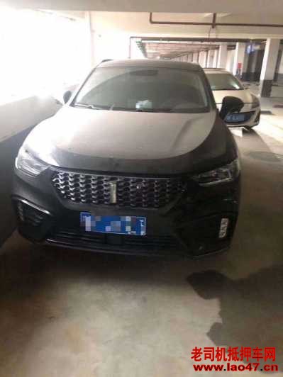 ¦24곤WEY VV5