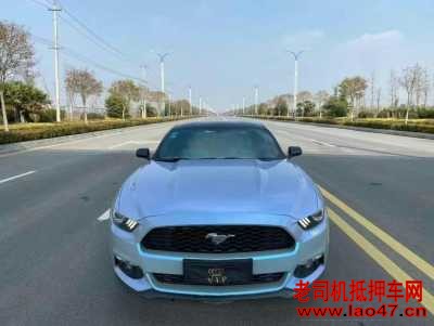 ̩19긣ҰMustang