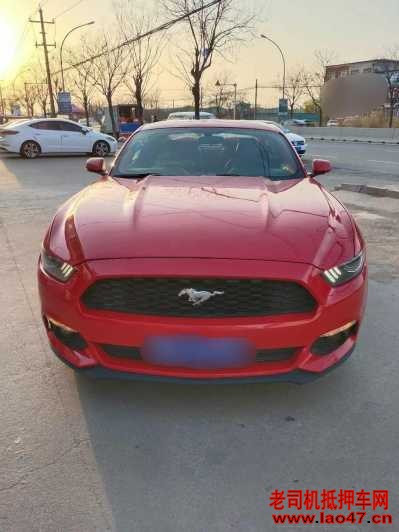 21긣ҰMustang