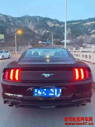 23긣ҰMustang