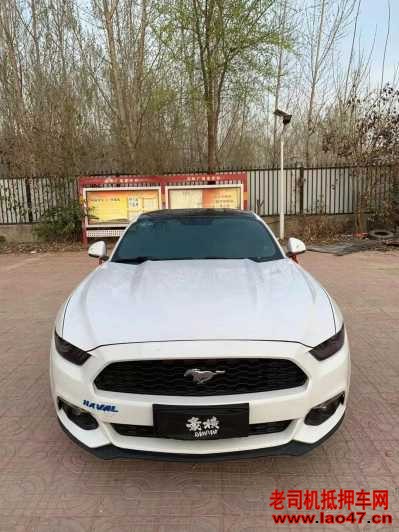19긣ҰMustang