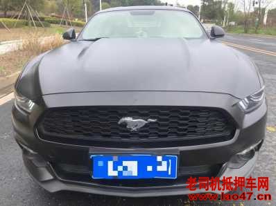 22긣ҰMustang