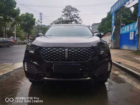 21곤WEY VV6