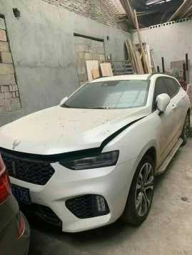Ž23곤WEY VV7