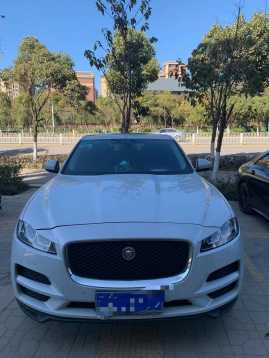 20ݱF-PACE
