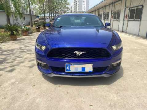 ̨20긣ҰMustang