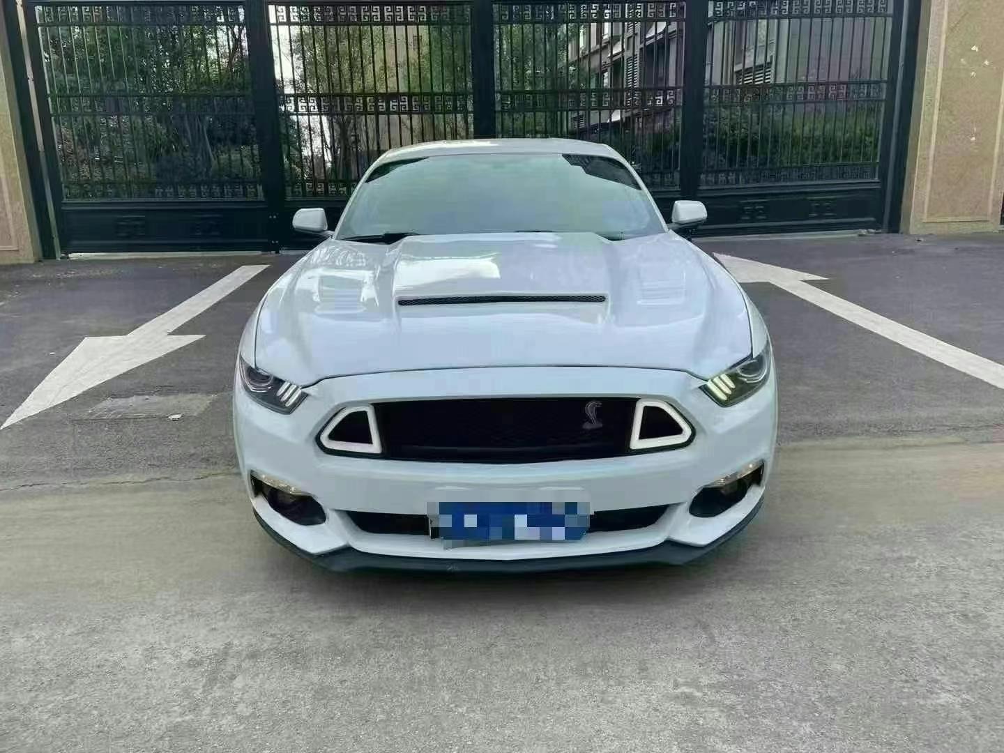 Ӫ21긣ҰMustang