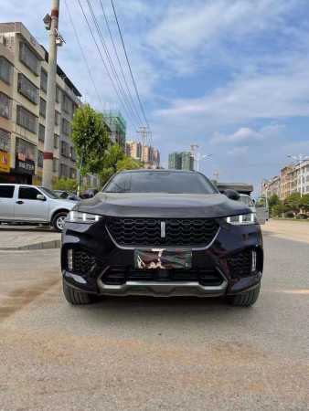 ɳ23곤WEY VV7
