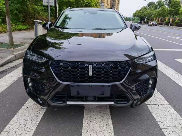 ɳ22곤WEY VV7