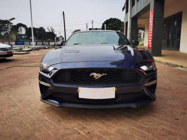 22긣ҰMustang