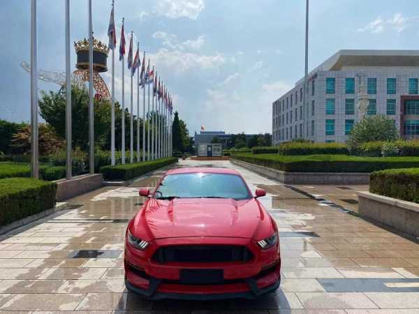ൺ20긣ҰMustang