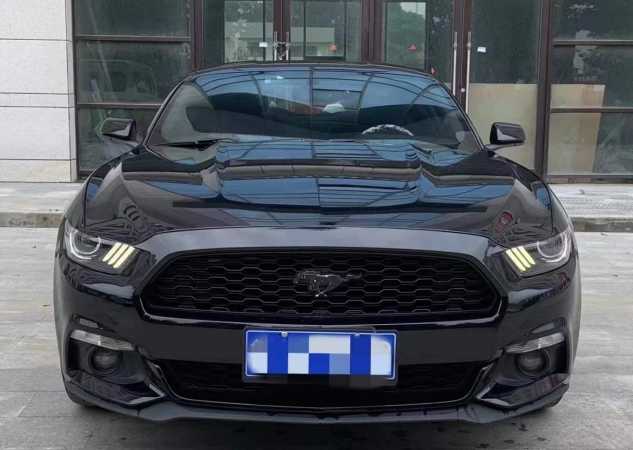 Ϋ19긣ҰMustang