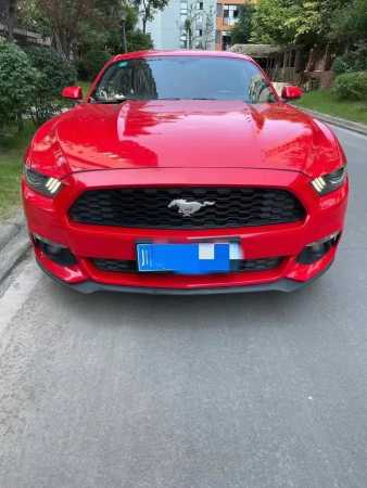 ɶ21긣ҰMustang