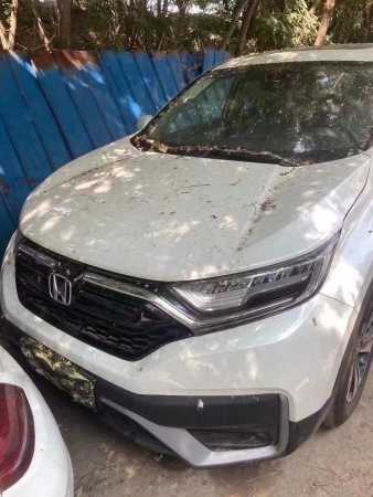 ̫ԭ24걾CRV