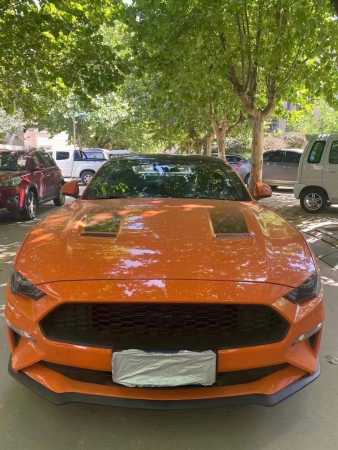 ʯׯ25긣ҰMustang