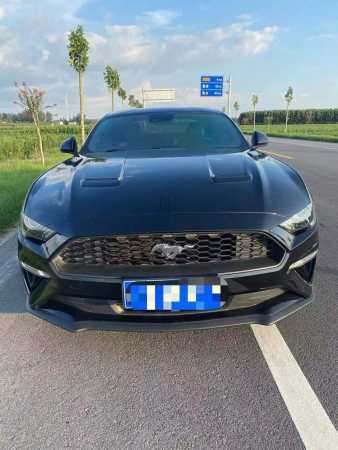 żҿ20긣ҰMustang