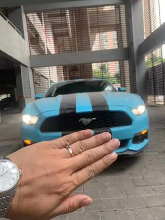 21긣ҰMustang